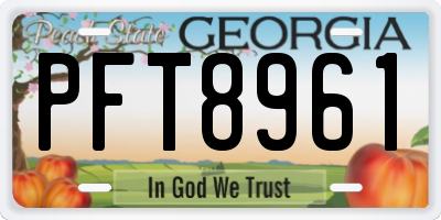 GA license plate PFT8961
