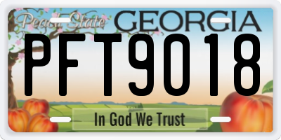 GA license plate PFT9018