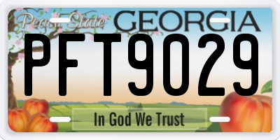 GA license plate PFT9029