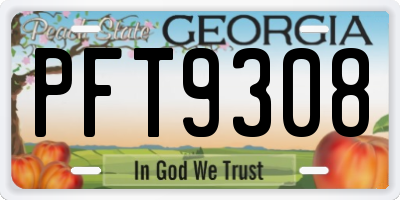 GA license plate PFT9308