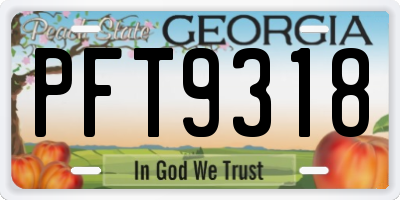 GA license plate PFT9318