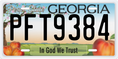 GA license plate PFT9384