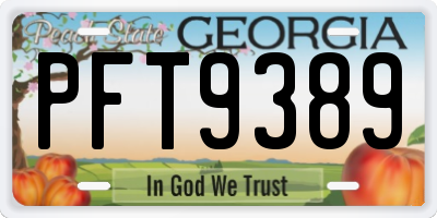 GA license plate PFT9389
