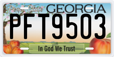 GA license plate PFT9503