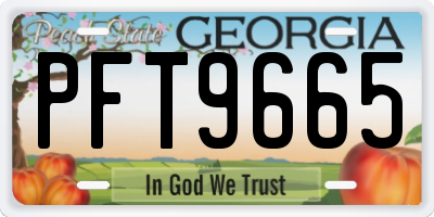 GA license plate PFT9665