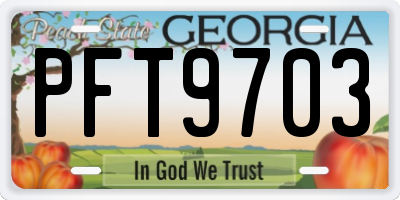 GA license plate PFT9703