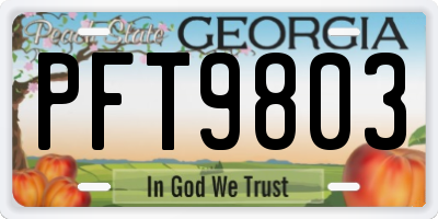 GA license plate PFT9803