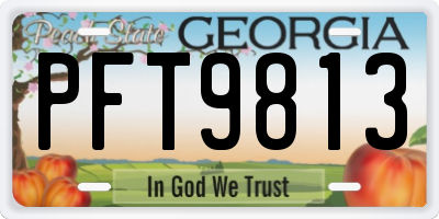 GA license plate PFT9813