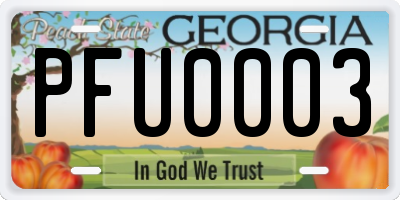 GA license plate PFU0003