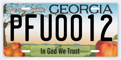 GA license plate PFU0012