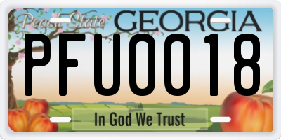 GA license plate PFU0018