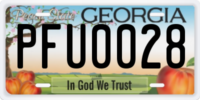 GA license plate PFU0028