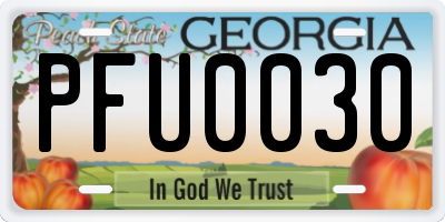 GA license plate PFU0030