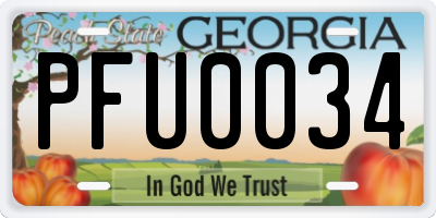 GA license plate PFU0034
