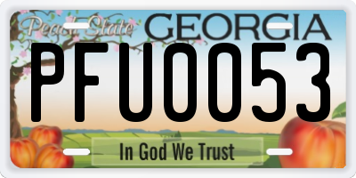 GA license plate PFU0053