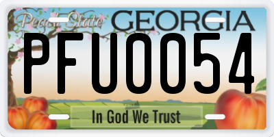 GA license plate PFU0054