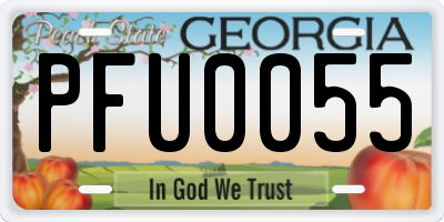 GA license plate PFU0055