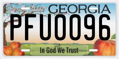 GA license plate PFU0096