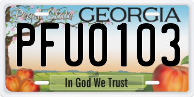 GA license plate PFU0103