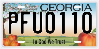 GA license plate PFU0110