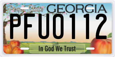 GA license plate PFU0112