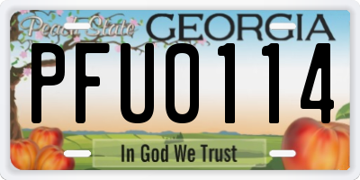 GA license plate PFU0114