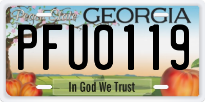 GA license plate PFU0119