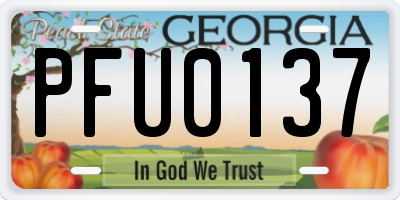 GA license plate PFU0137