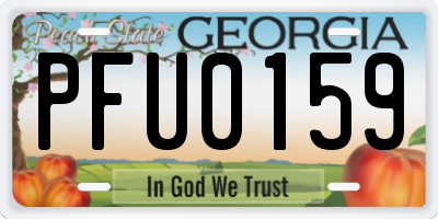 GA license plate PFU0159