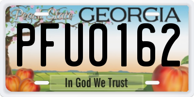 GA license plate PFU0162