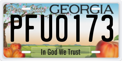 GA license plate PFU0173