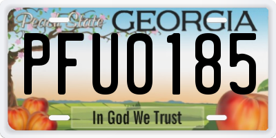 GA license plate PFU0185