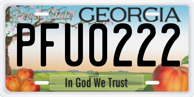 GA license plate PFU0222