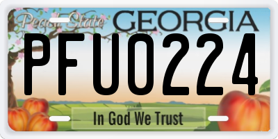 GA license plate PFU0224
