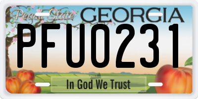 GA license plate PFU0231