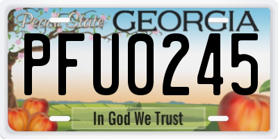 GA license plate PFU0245