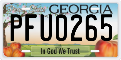 GA license plate PFU0265