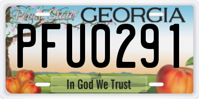 GA license plate PFU0291
