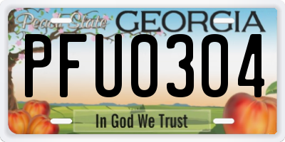 GA license plate PFU0304
