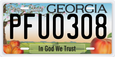 GA license plate PFU0308