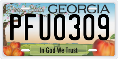 GA license plate PFU0309