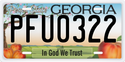 GA license plate PFU0322