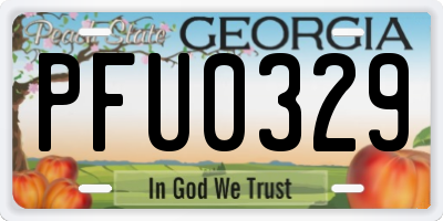 GA license plate PFU0329