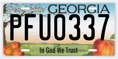GA license plate PFU0337