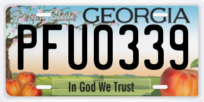 GA license plate PFU0339