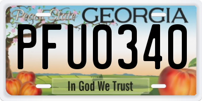 GA license plate PFU0340