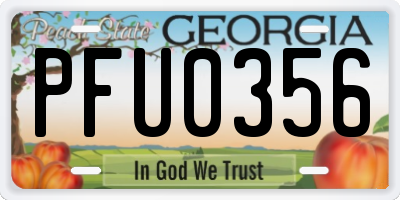 GA license plate PFU0356