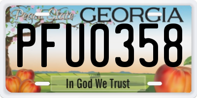 GA license plate PFU0358