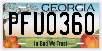 GA license plate PFU0360