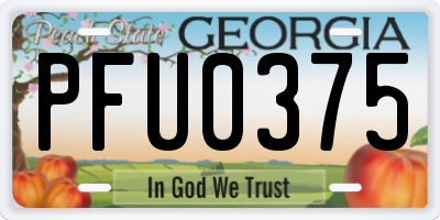 GA license plate PFU0375